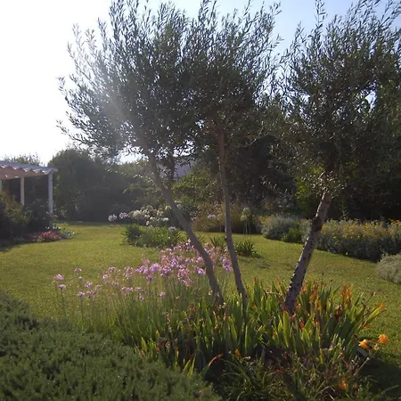 Garden Βίλα *