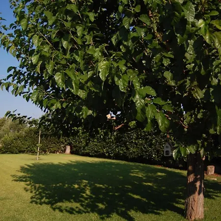 Villa Garden